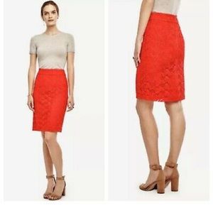 Ann Taylor Pencil Skirt